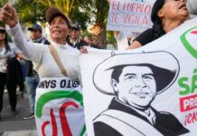 Peru says presidential election results due by mid-May after delayed count