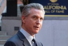 Brutal way Google founder told Gavin Newsom he was ditching California at treehouse party