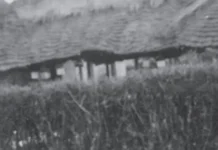 At 63, a Granddaughter Shares the Legacy of Her Ajji Who Served as a Doctor Across Continents