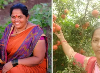 How a Simple Solar Device Can Help a Woman Farmer in Maharashtra Become a Business Owner