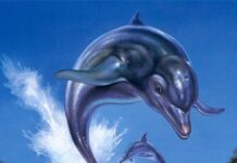 Ecco the Dolphin: Complete will combine remasters and a sequel into one package