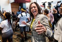 Dem Senate candidate ripped for Kamala Harris-style marching band theatrics at convention