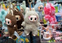 Some Labubu dolls contain banned cotton from Chinese region known for forced labor: investigation