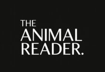 Humpback whale Timmy frees himself, but water level is dropping