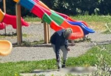 Migrant seen cooking cat on makeshift fire at children’s playground