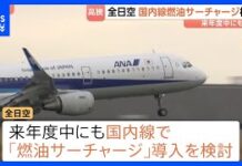 ANA Considers Introducing Fuel Surcharge on Domestic Routes