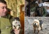Cat and dog miracle drone rescue in war-torn Ukraine