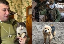 Cat and dog miracle drone rescue in war-torn Ukraine