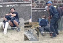 ‘Please don’t die’: Chilling video shows tourists rushing to aid shooting victim atop ancient Mexican pyramid