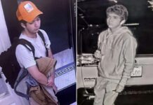 Student accused of trying to murder Sam Altman is ‘well-informed’ ‘AI doomer,’ says podcast host who interviewed him