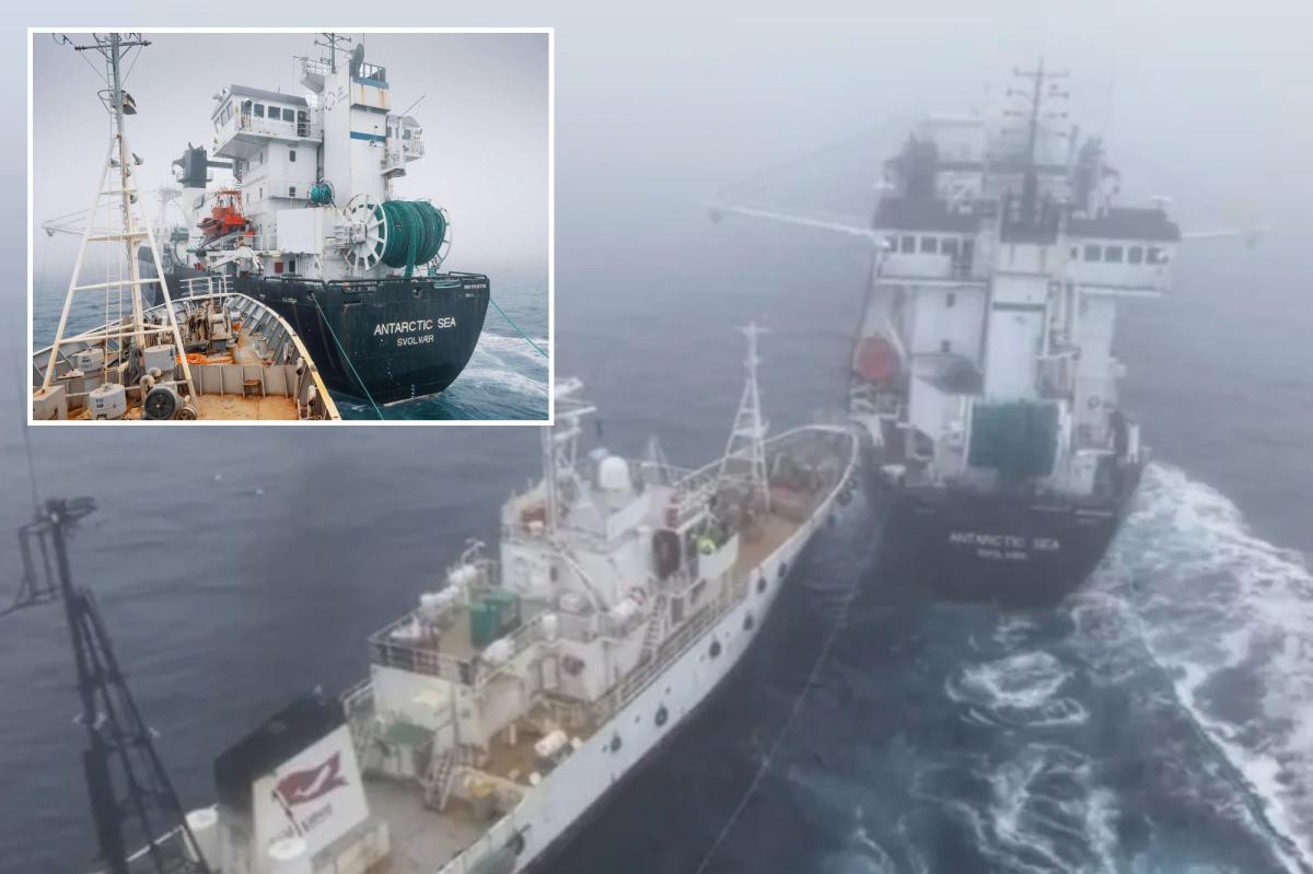Activist’s group accused of ‘terrorist attack’ in collision with Antarctic krill trawler