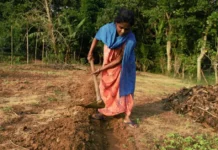 ‘No Longer a Victim’: Farming Helped Me Earn, Rebuild Life After Abusive Marriage