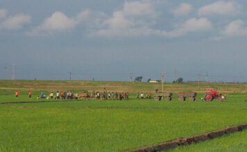 North Korean farm officials lease state land for double profits as food prices surge