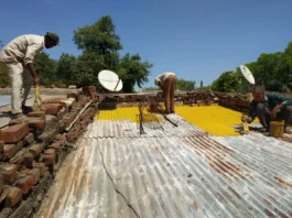 As Heatwaves Rise, Ahmedabad Offers a Simple Blueprint Cities Can Follow