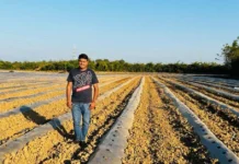 Brothers Boost Farmer Incomes With Innovative Agri Solutions; Raise Rs 50L Investment