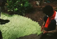 In Jharkhand, Dr Ramakantha Has Found A Way To Create Natural Ponds Without Plastic Liners
