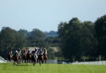 Sixtygeesbaby takes on Ripon feature