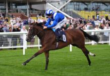 Zavateri and Albert Einstein lock horns in Greenham