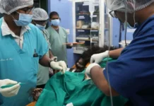 Meet the Vet Treating Sloth Bears Rescued From India’s 400-Year-Old ‘Dancing’ Practice