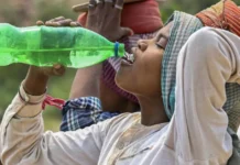 Why Your City Feels Hotter: The Science Behind Trees, Concrete and a 10°C Gap