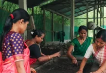 From Farming to Food, These 5 Women Entrepreneurs are Building High-Revenue Rural Businesses
