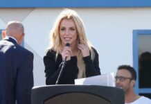 Britney Spears Accusing of Chaotic Dinner & ‘Barking’ at Tavern (But What …
