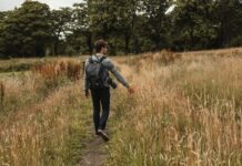 ‘Contact your GP’ with two symptoms, Scots health chiefs warn in May alert