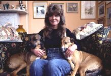Who was Dame Jilly Cooper as Rivals season 2 tribute explained?