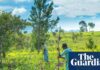 Iran war may cause food shortages in Africa, world’s largest fertiliser firm says
