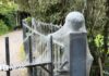 ‘Alarming-looking’ caterpillar webs in park ‘harmless’