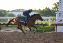 2026 Preakness Stakes picks: Best horses to use in exactas, trifectas