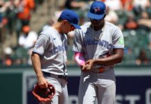 Blue Jays’ Jesus Sanchez exits game after being hit with ball thrown by fan in bizzare scene
