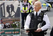 London’s top cop warns Brit Jews face greatest-ever threat as Iran-linked group claims attack spree