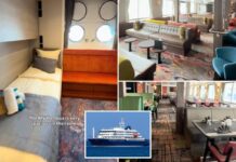 Cruise ship infected with terrifying hantavirus strain that has 40% mortality rate, WHO believes — here’s what happens next