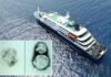 The two possible causes for the cruise ship hantavirus outbreak — one is disgusting, and the other is terrifying