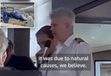 Eerie moment cruise passengers told about first hantavirus death: ‘The ship is safe’