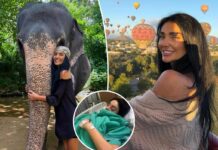 Tourist fighting for life in Bali after suffering multiple brain-related injuries