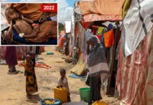 Famine risk threatens parts of Somalia for first time in 4 years