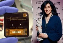 Harvard doctor invents ‘vagina on a chip’ to replace animal testing for women’s health issues
