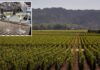 Fresh hell for California’s crippled wine industry as values hit rock bottom