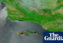 Nasa images show wildfire damage to island dubbed ‘Galapagos of California’