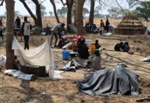 BAE faces £120m lawsuit over decision to scrap support for aid aircraft