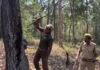 Across the Arid Thar to Tamil Forests, These Incredible Trees Turn Their Trunks Into Natural Water Tanks