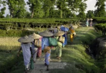 Step Onto This Ferry in Assam and See Daily Life Unfold on Stilt Houses & Handmade Looms