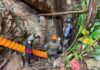 5 of 7 people trapped in flooded Laos cave for more than a week found alive