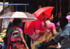 Telangana Reels under Blistering Heat as 4 Districts Cross 45°C