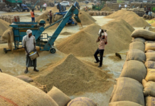 Telangana: Officials Hunt for Space To Store Procured Paddy, Jowar