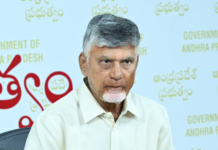 AP Pushes Centre to Blend Ethanol in Fuel up to 40%