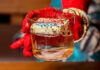 A Classy Twist on Familiar: How TheySee Redefines Modern Indian and Fusion Cuisine