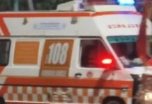 Boy Critically Injured While Trying to Fend Off Dogs in Odisha